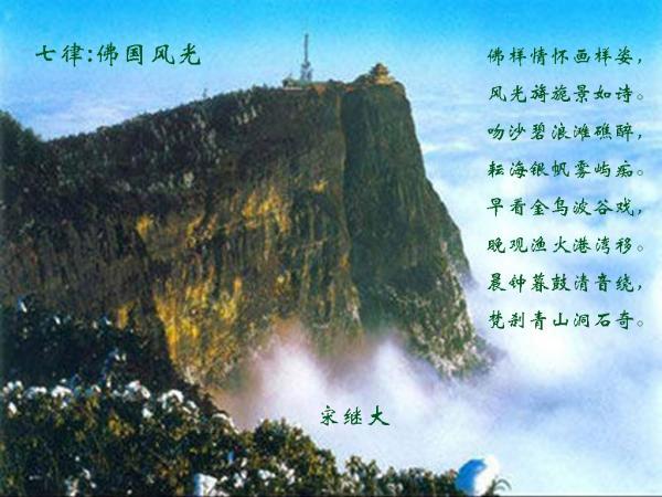 钟山区政协到凤凰街道凤苑社区党支部列席指导主题教育专题组织生活会